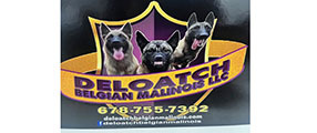 Ad #862951 | Pets and Animals | AJC Classifieds